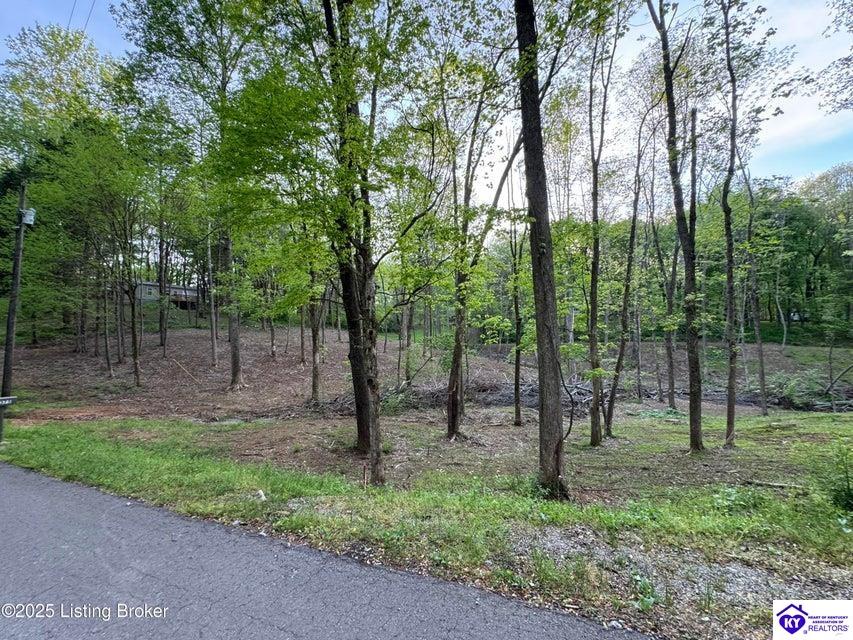 Lot 23A Walleye WayScottsville,&nbsp;KY&nbsp;42164