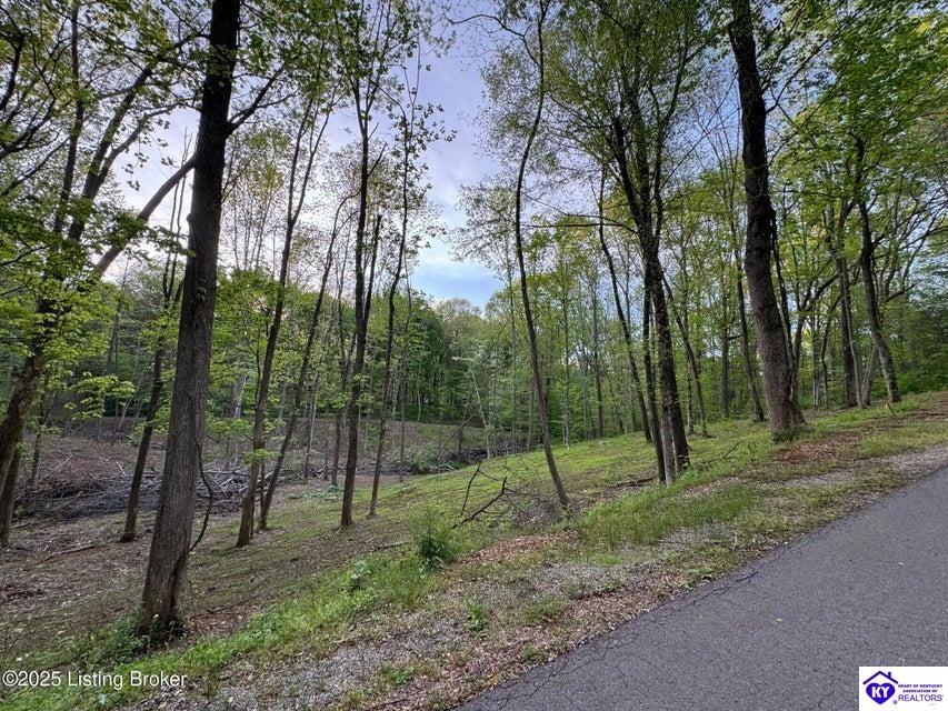 Lot 23A Walleye Way Scottsville, KY 42164 #1