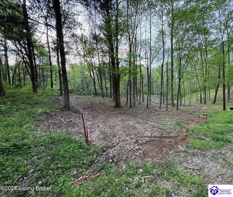 Lot 23A Walleye Way Scottsville, KY 42164 #2