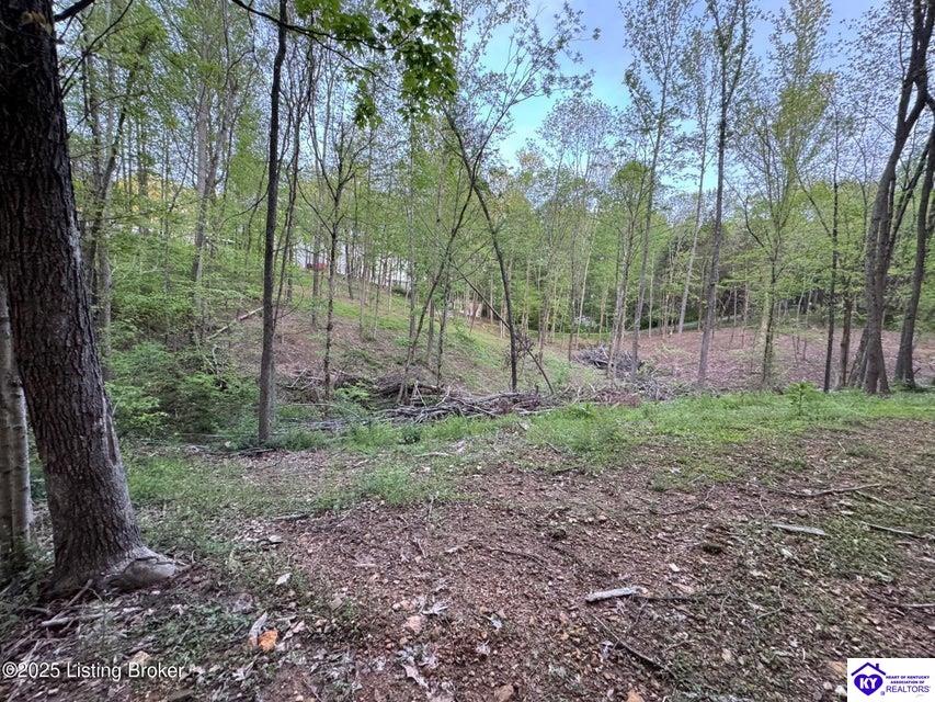 Lot 23A Walleye Way Scottsville, KY 42164 #4