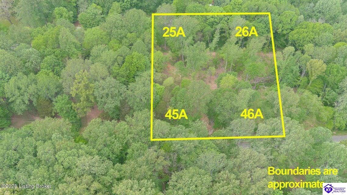 lot 45A Walleye Way Scottsville, KY 42164 #1