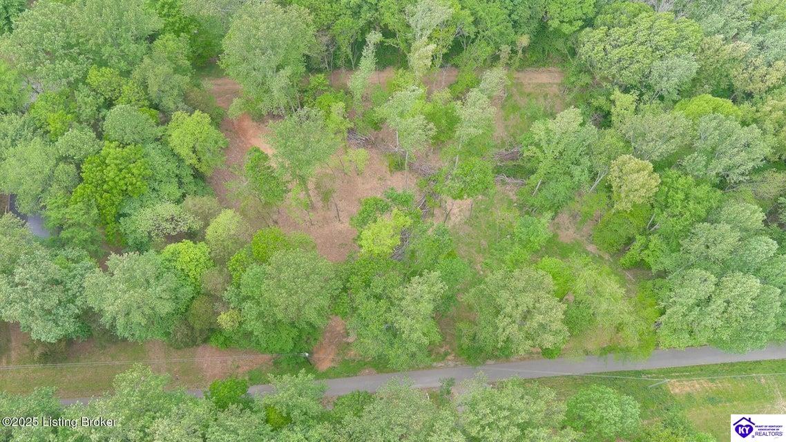 lot 45A Walleye Way Scottsville, KY 42164 #3