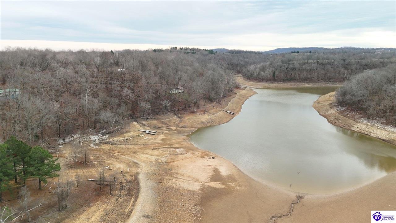 1005 Thomason Cemetery Road Leitchfield, KY 42754 #3