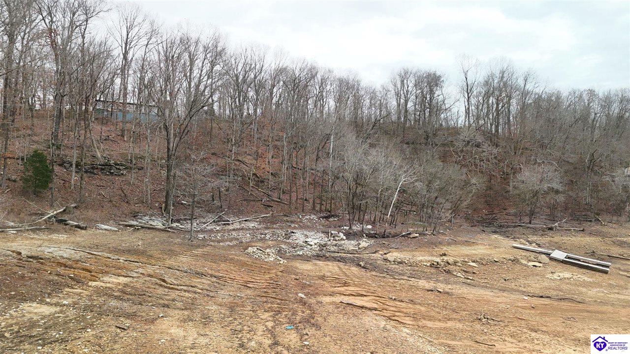 1005 Thomason Cemetery Road Leitchfield, KY 42754 #4