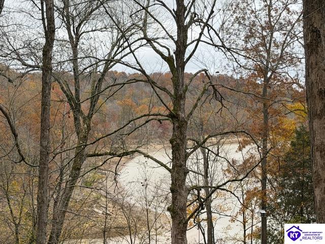 512 Hornback Mill Ext. Lane Leitchfield, KY 42754 #2
