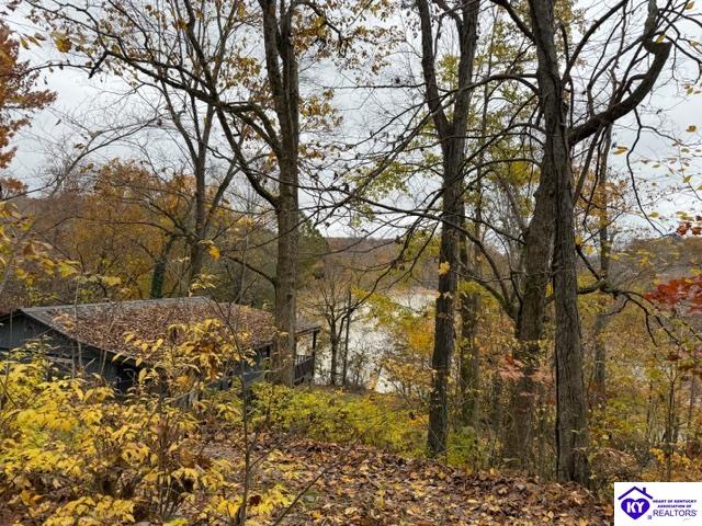 512 Hornback Mill Ext. Lane Leitchfield, KY 42754 #3