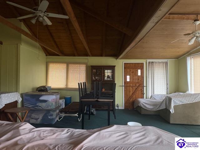 512 Hornback Mill Ext. Lane Leitchfield, KY 42754 #4