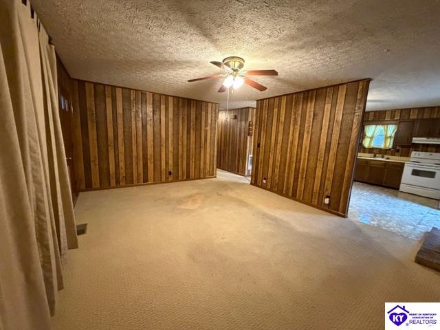 10074 Falls of Rough Road Falls Of Rough, KY 40119 #2