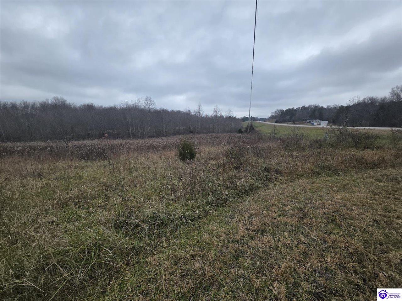 12145 Hodgenville Road Campbellsville, KY 42718 #2