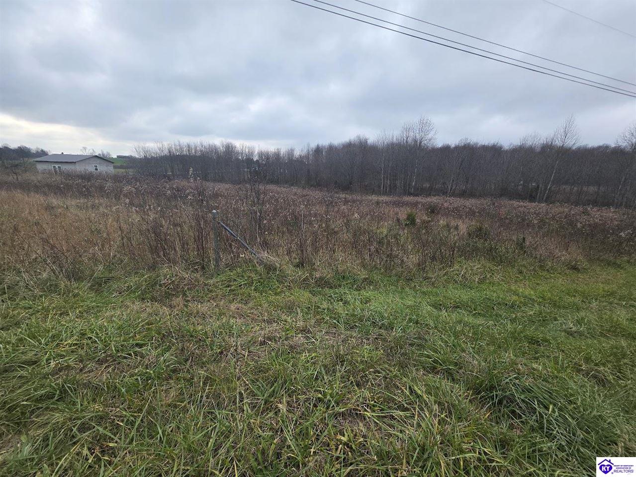 12145 Hodgenville Road Campbellsville, KY 42718 #3