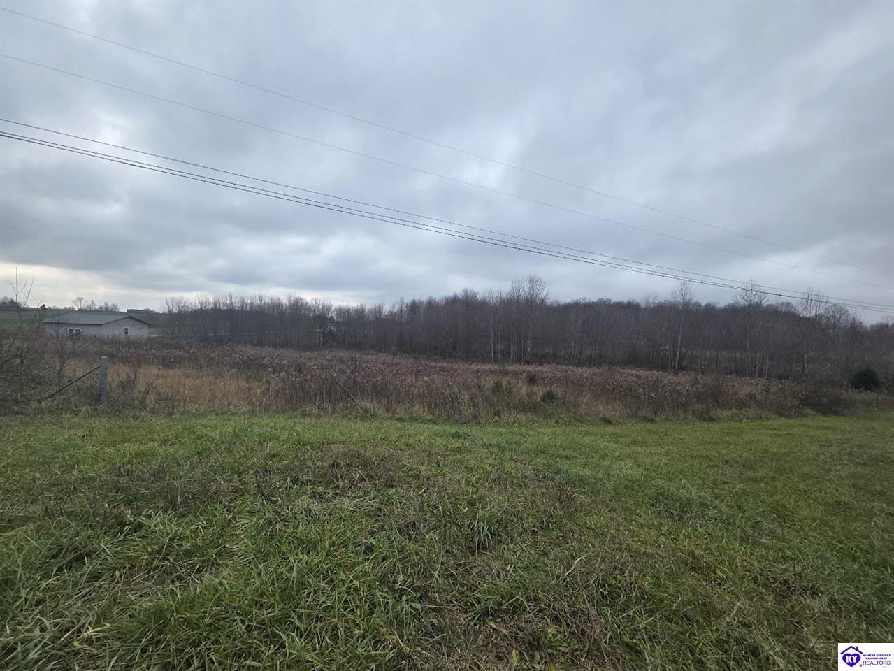 12145 Hodgenville Road Campbellsville, KY 42718 #4