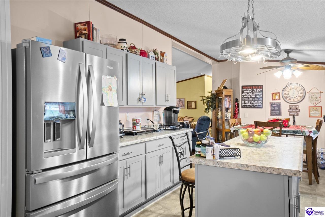 233 Shale Lane Rineyville, KY 40162 #2