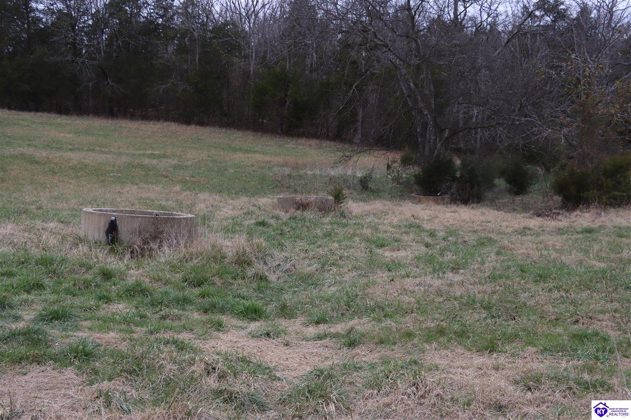 0 Fisher Ridge Road Horse Cave, KY 42749 #2