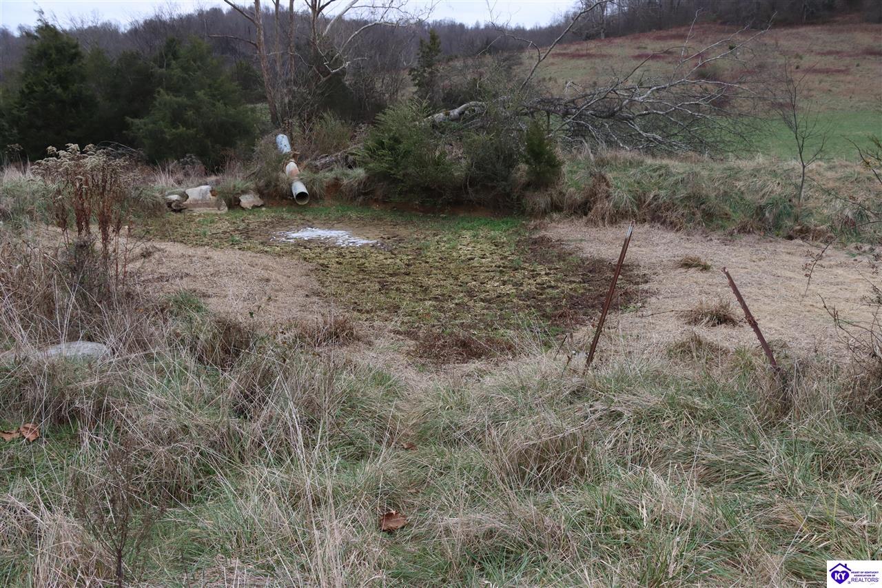 0 Fisher Ridge Road Horse Cave, KY 42749 #3