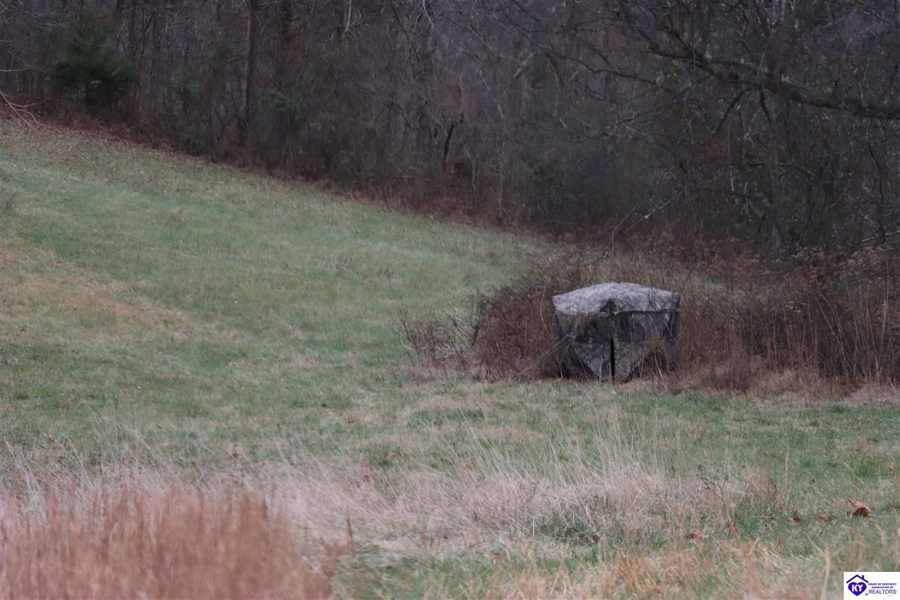 0 Fisher Ridge Road Horse Cave, KY 42749 #4