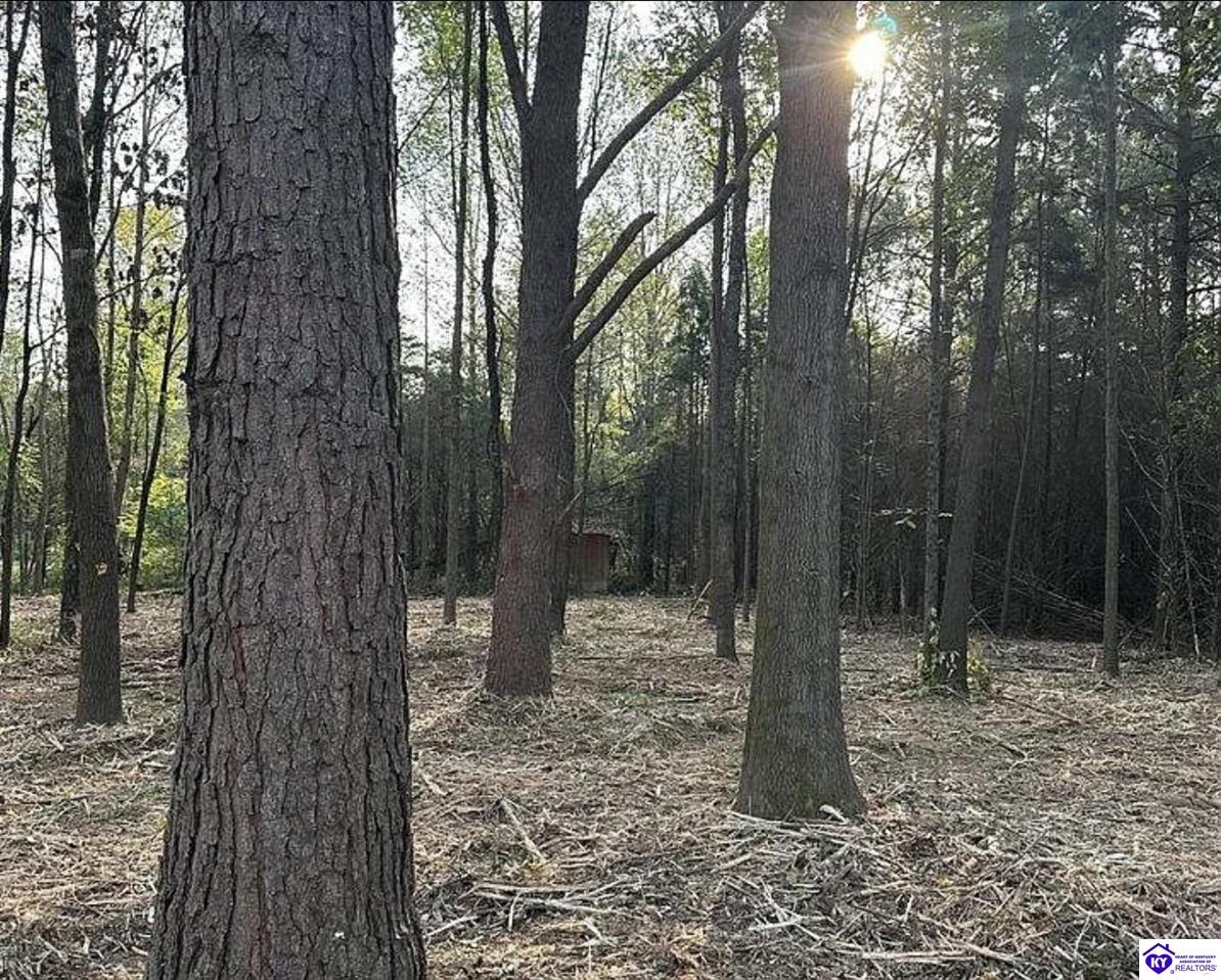 133 Sassy CtCampbellsville,&nbsp;KY&nbsp;42718