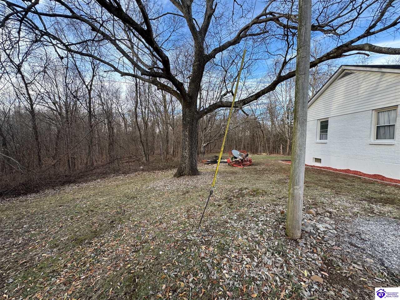 1536 Christian Church Road Brandenburg, KY 40108 #2