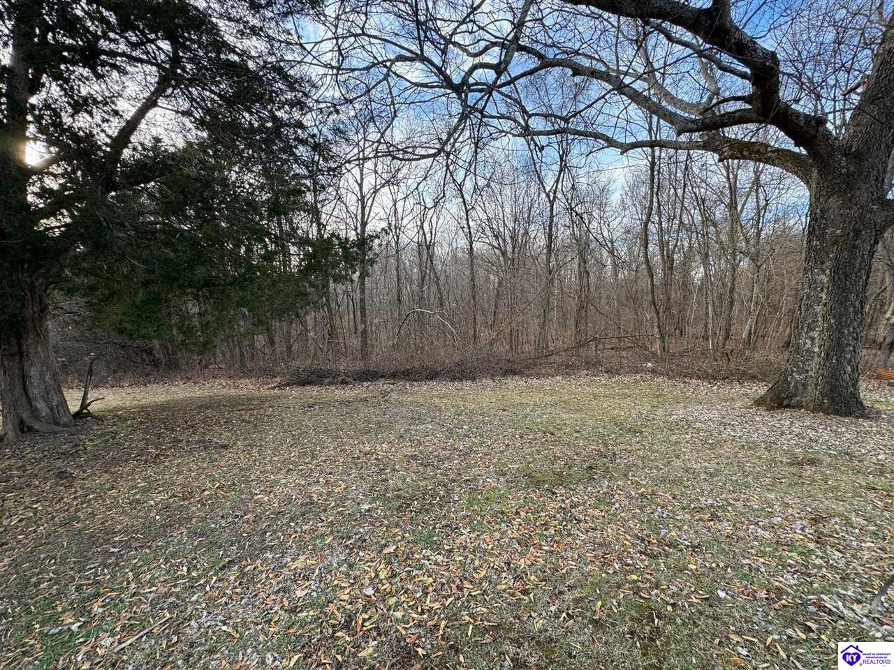 1536 Christian Church Road Brandenburg, KY 40108 #3