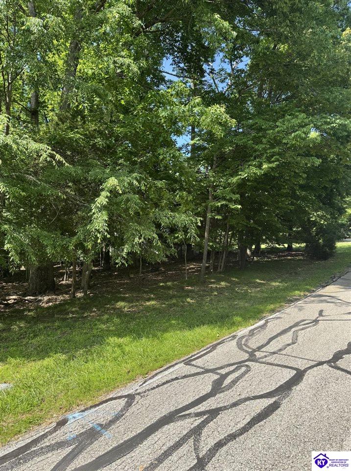 Lot 246 Pine Point DriveBrandenburg,&nbsp;KY&nbsp;40108