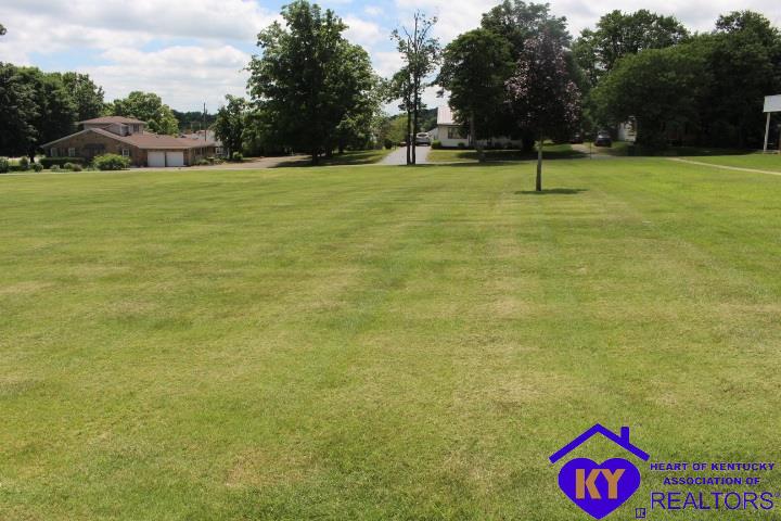 14253 E Highway 60 Irvington, KY 40146 #4