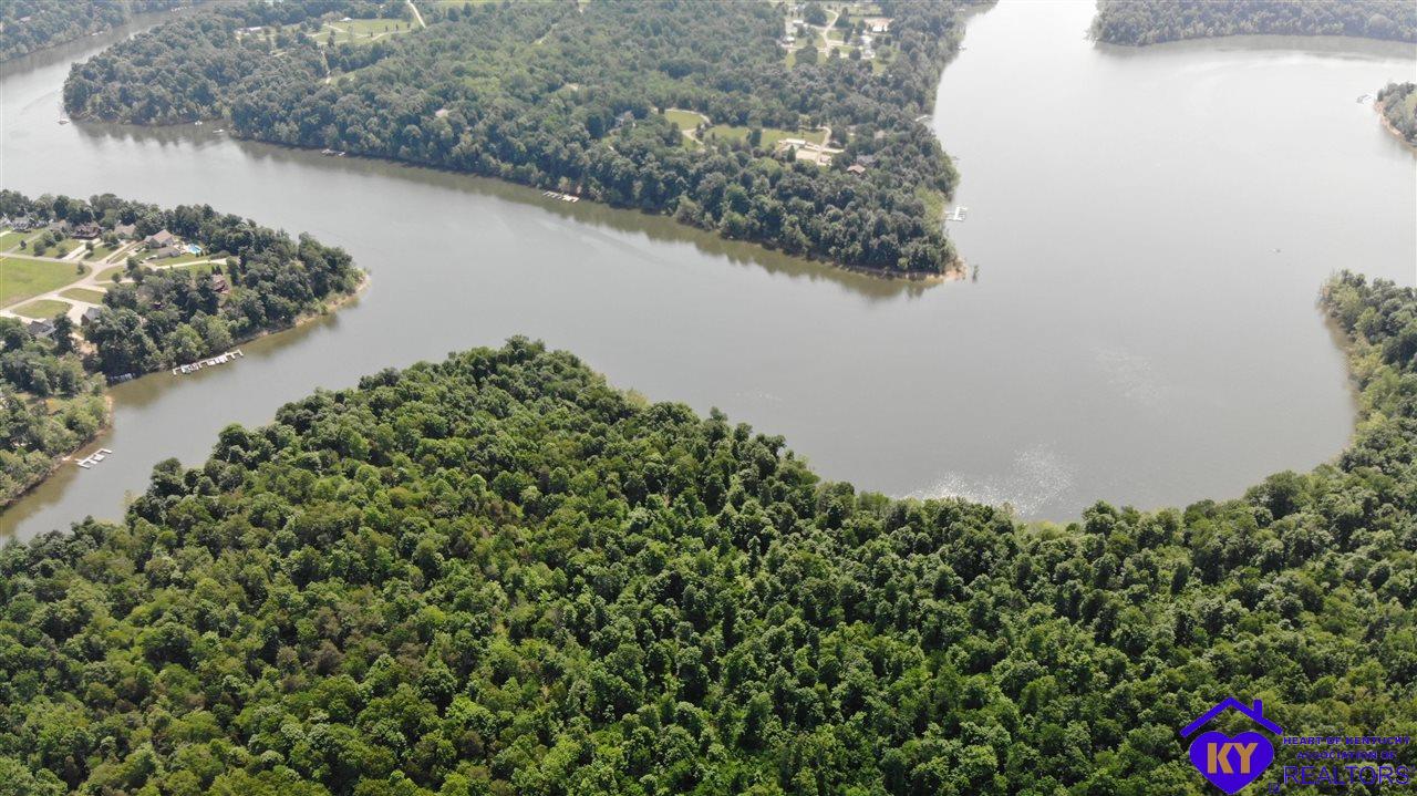 370 Cave Heights Drive Falls Of Rough, KY 40119 #1