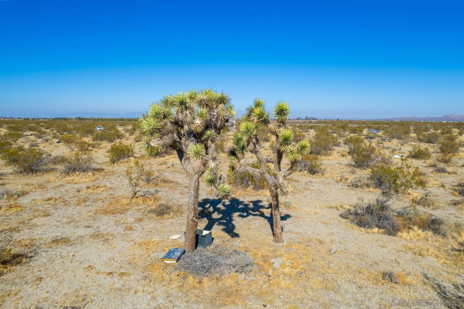 Detail Gallery Image 21 of 44 For , Pearblossom,  CA 93553 - – Beds | – Baths