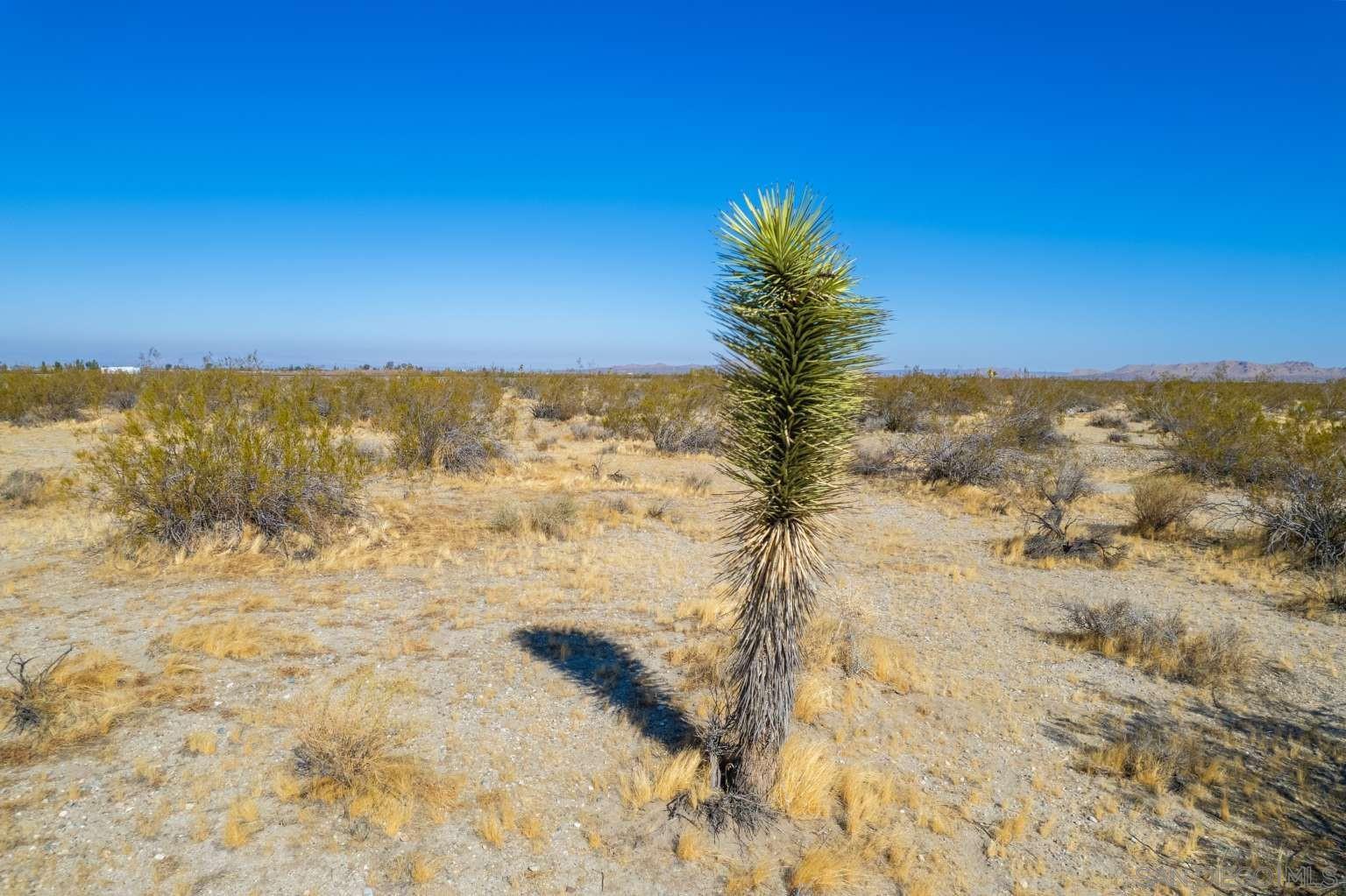 Detail Gallery Image 24 of 44 For , Pearblossom,  CA 93553 - – Beds | – Baths