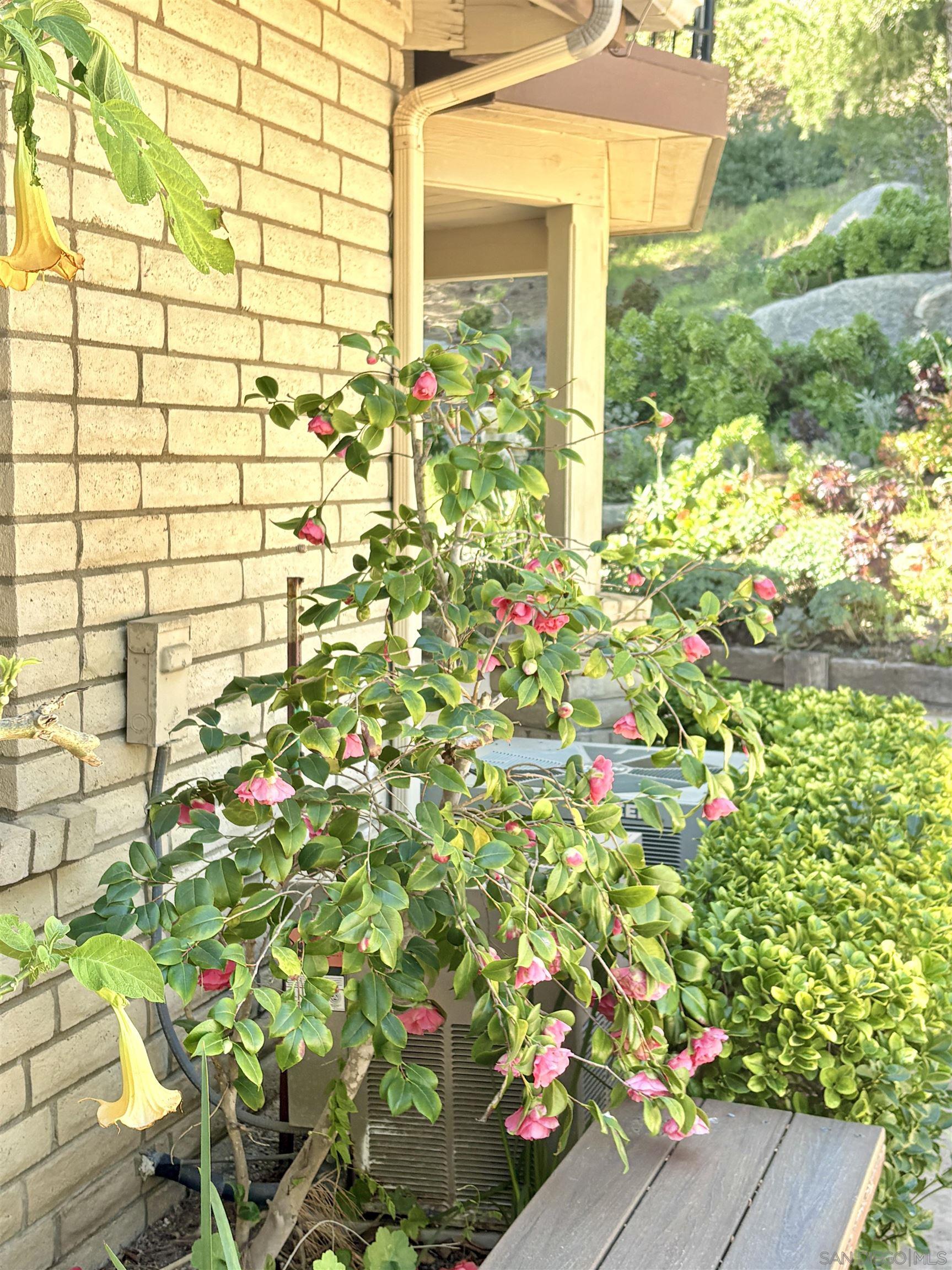 Detail Gallery Image 53 of 74 For 15725  Pauma Valley Drive, Pauma Valley,  CA 92061 - 6 Beds | 4/1 Baths