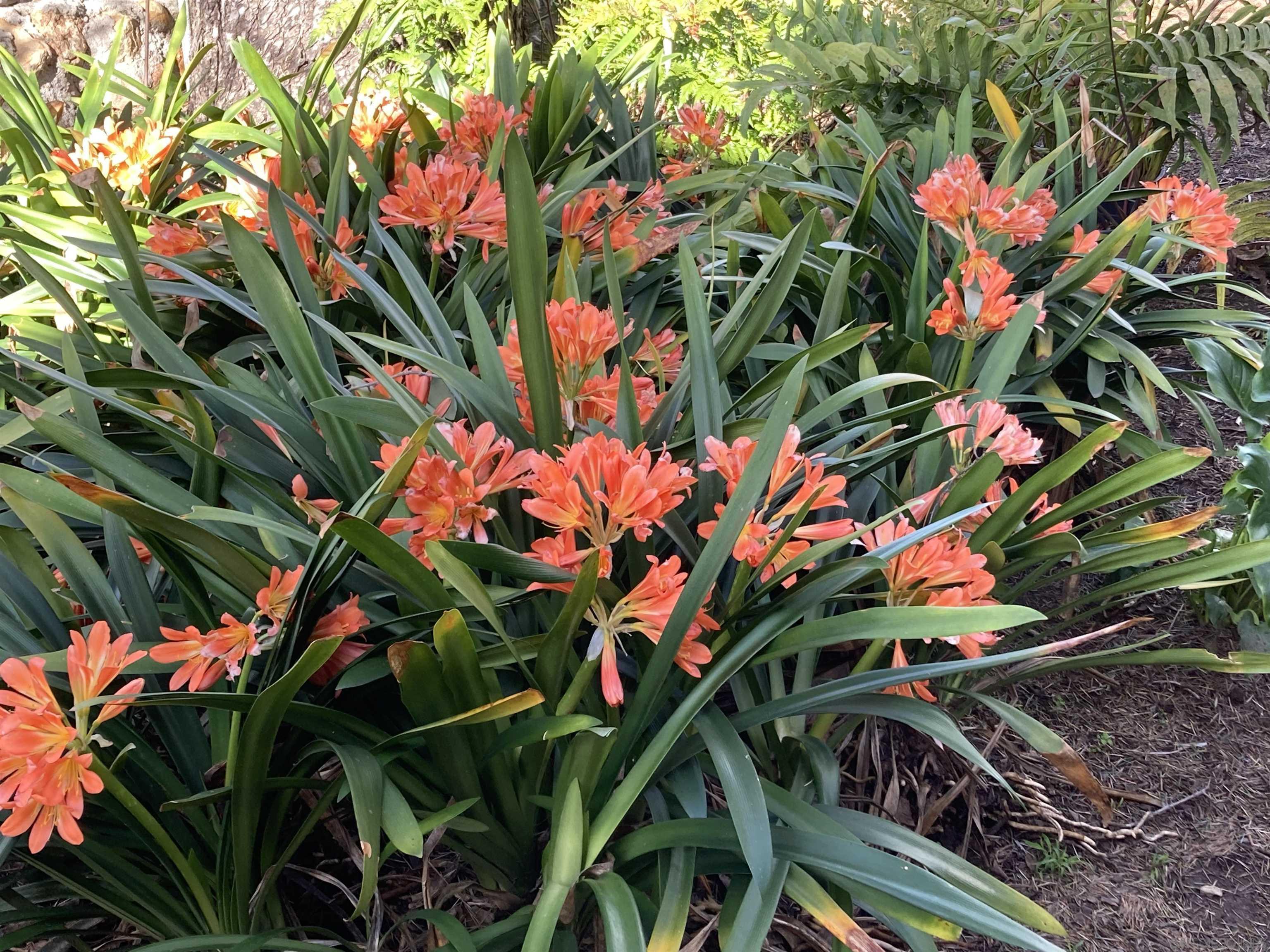 Detail Gallery Image 30 of 58 For 4744  Resmar Rd, La Mesa,  CA 91941 - 3 Beds | 3 Baths