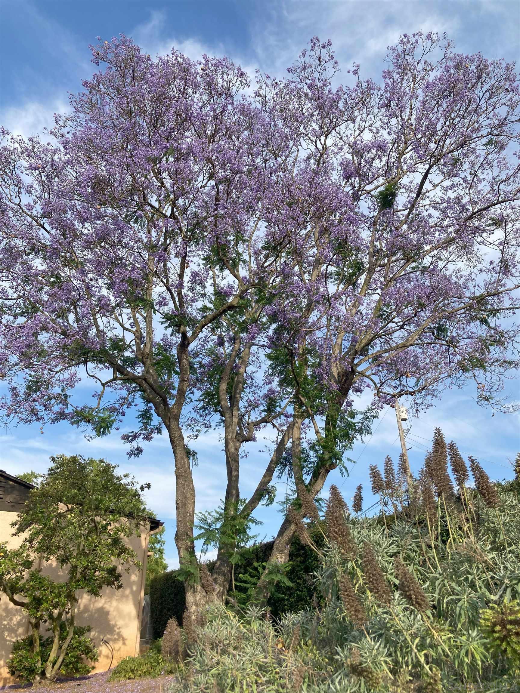 Detail Gallery Image 36 of 58 For 4744  Resmar Rd, La Mesa,  CA 91941 - 3 Beds | 3 Baths