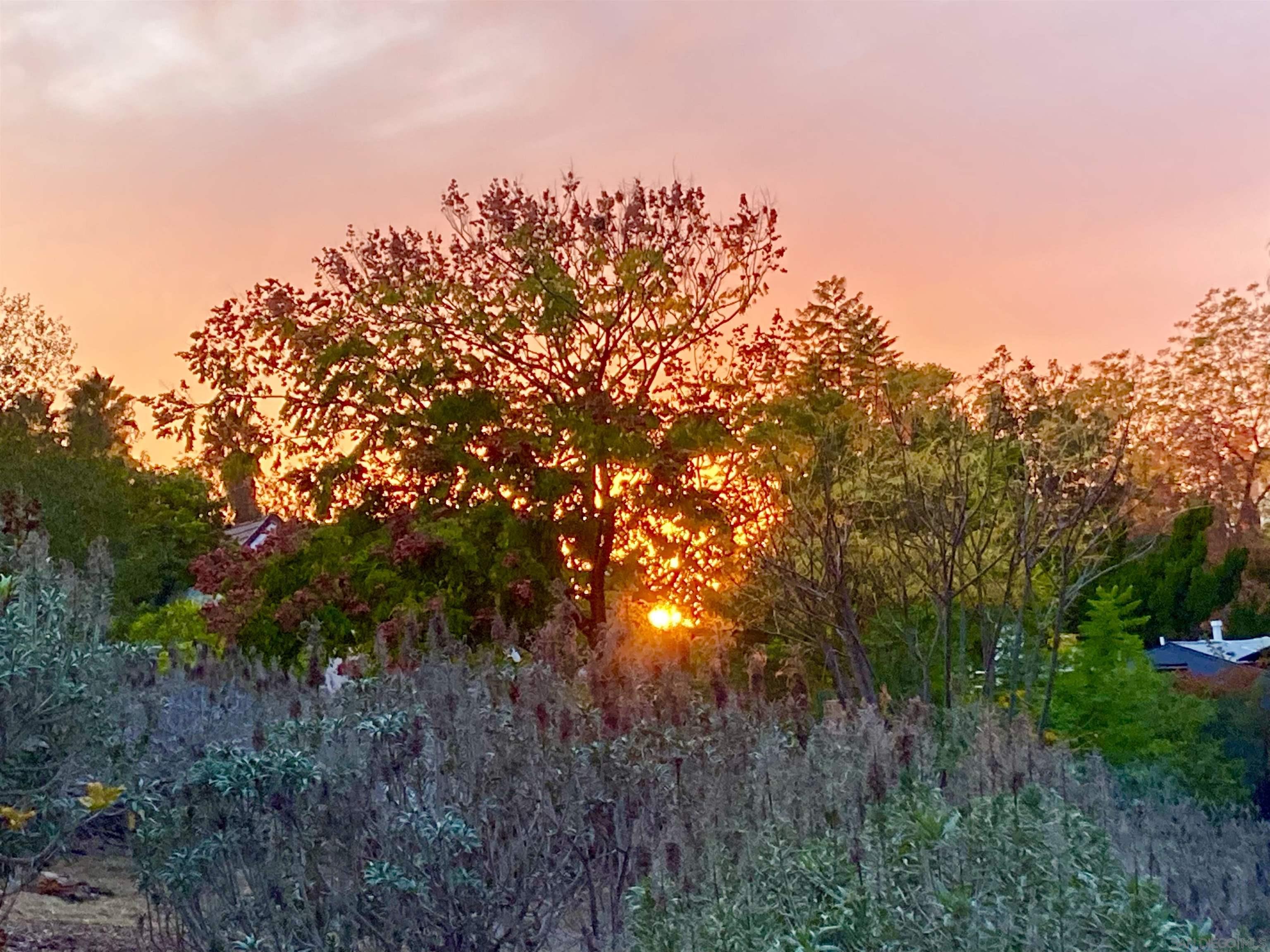 Detail Gallery Image 50 of 58 For 4744  Resmar Rd, La Mesa,  CA 91941 - 3 Beds | 3 Baths