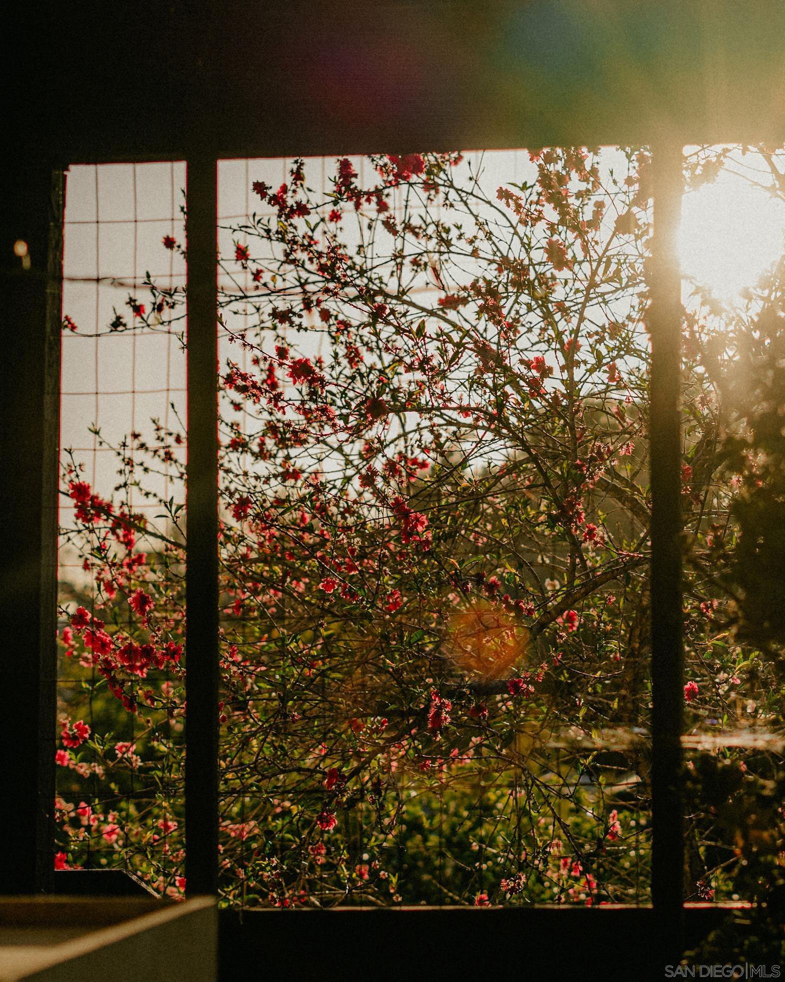 Detail Gallery Image 53 of 58 For 4744  Resmar Rd, La Mesa,  CA 91941 - 3 Beds | 3 Baths