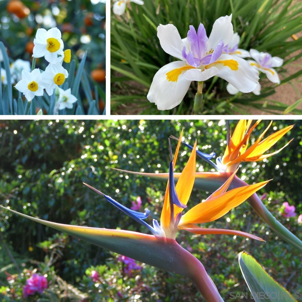 Detail Gallery Image 54 of 58 For 4744  Resmar Rd, La Mesa,  CA 91941 - 3 Beds | 3 Baths