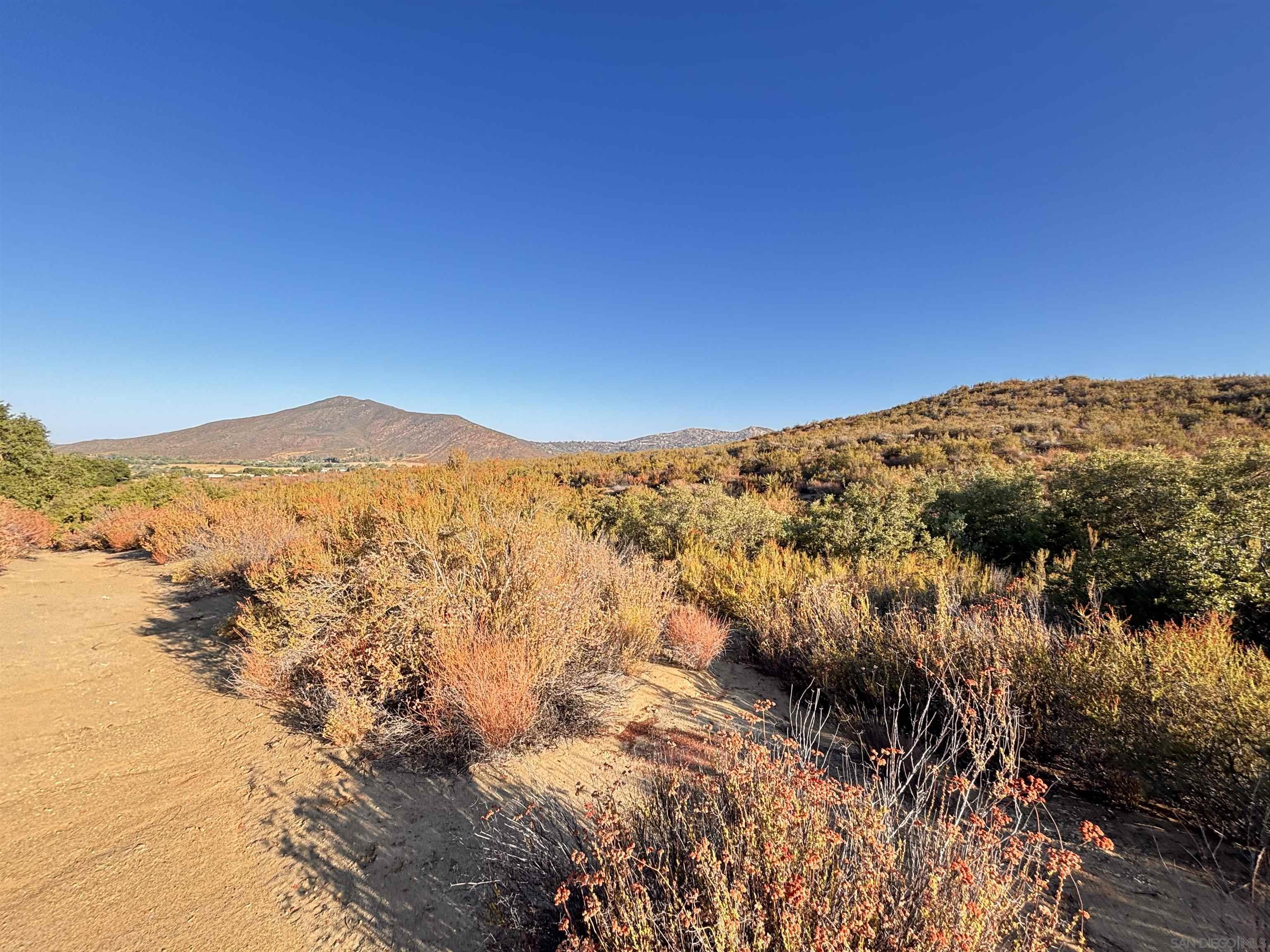 Front Image Thumbnail for SD250042142