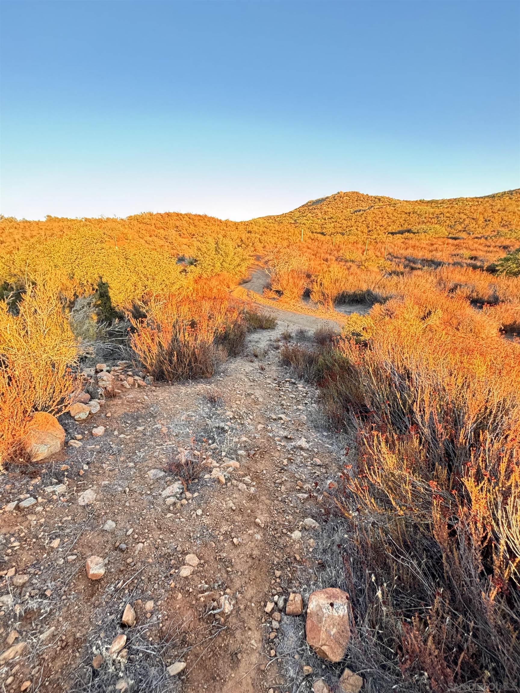 Detail Gallery Image 3 of 6 For , Potrero,  CA 91963 - – Beds | – Baths
