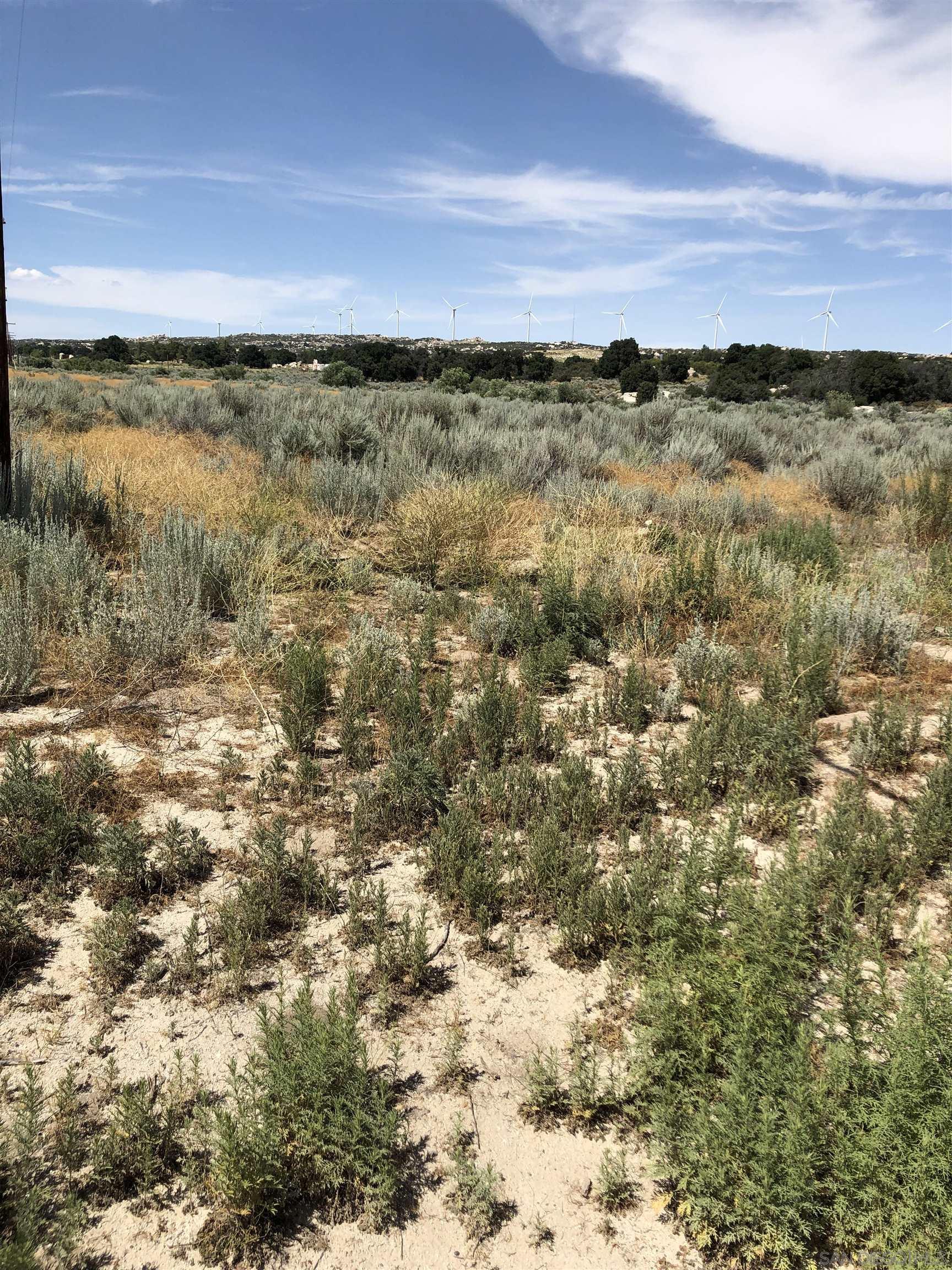 Detail Gallery Image 2 of 6 For , Boulevard,  CA 91905 - – Beds | – Baths