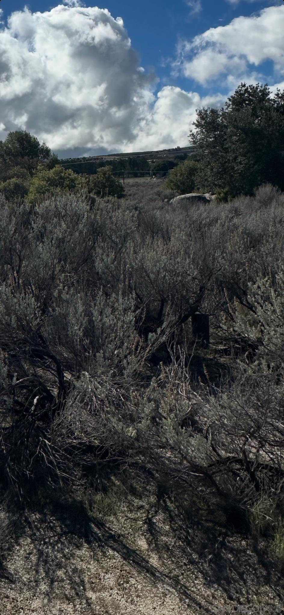 Detail Gallery Image 4 of 6 For , Boulevard,  CA 91905 - – Beds | – Baths