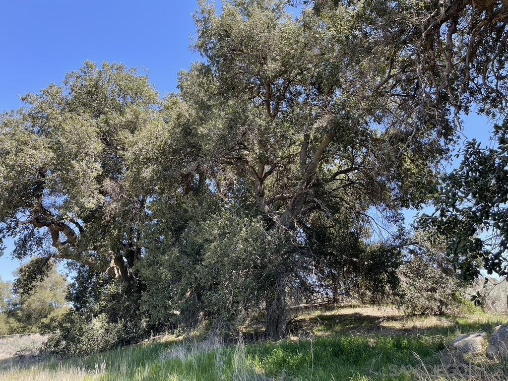 Detail Gallery Image 6 of 6 For , Boulevard,  CA 91905 - – Beds | – Baths