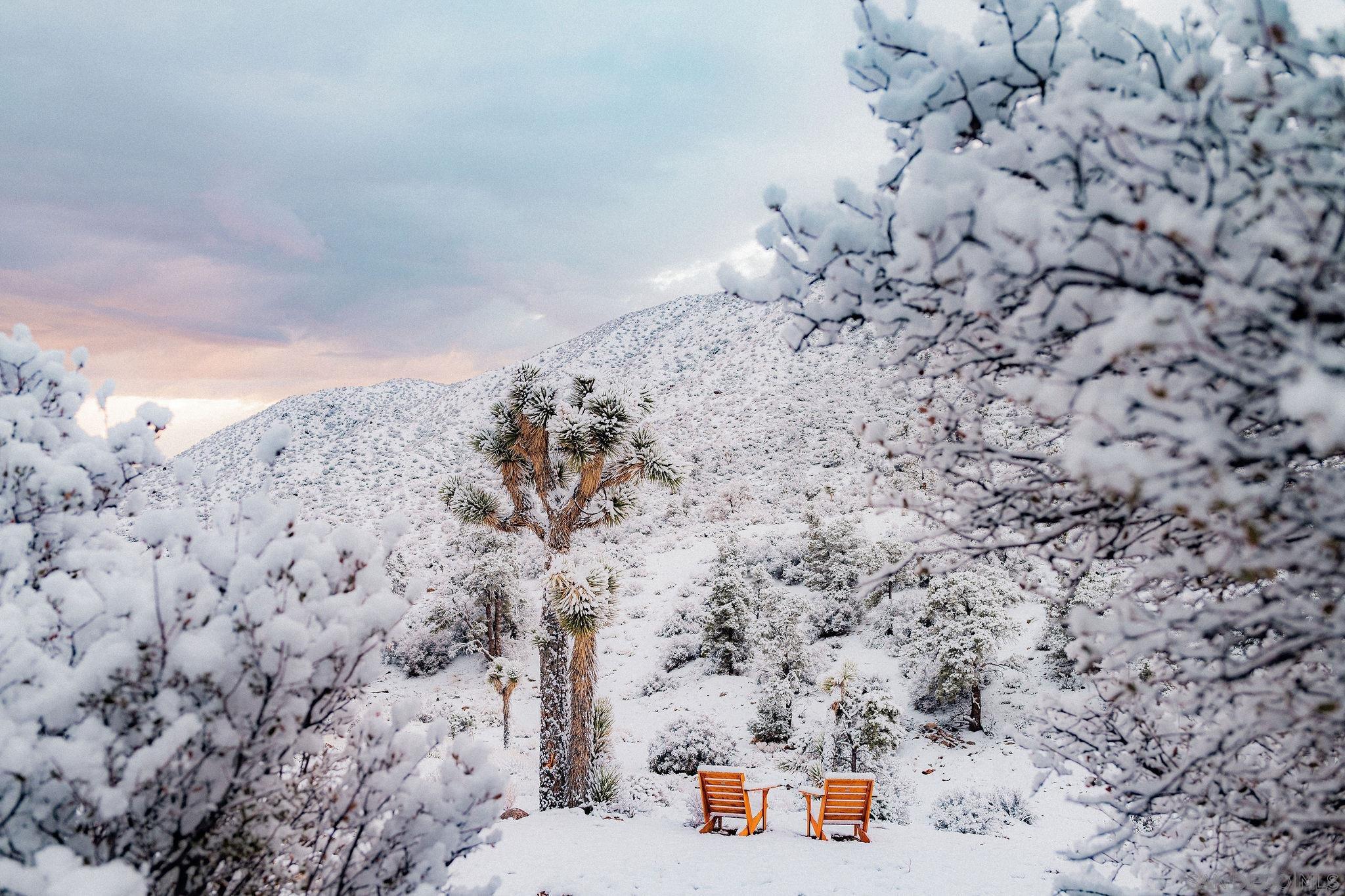 Detail Gallery Image 47 of 52 For 48311  Burns Canyon Rd, Pioneertown,  CA 92268 - 2 Beds | 2 Baths