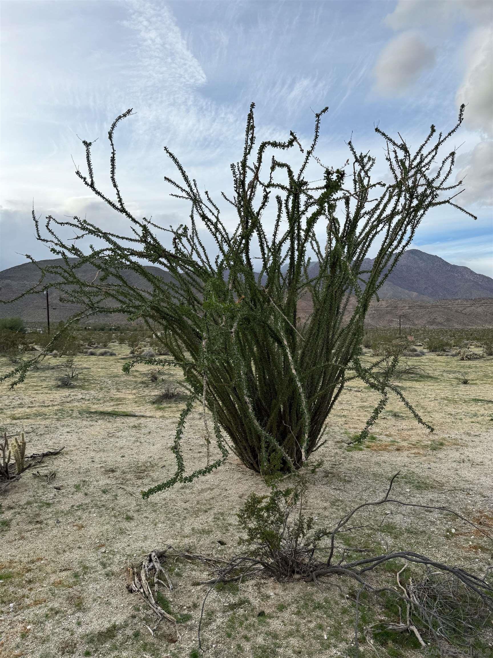 Detail Gallery Image 14 of 14 For , Borrego Springs,  CA 92004 - – Beds | – Baths
