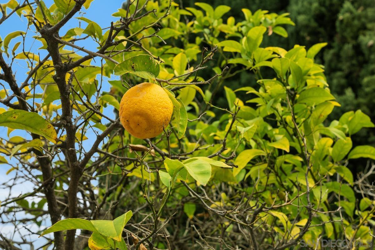 Detail Gallery Image 43 of 44 For 10851  Ironwood Rd, San Diego,  CA 92131 - 4 Beds | 3 Baths