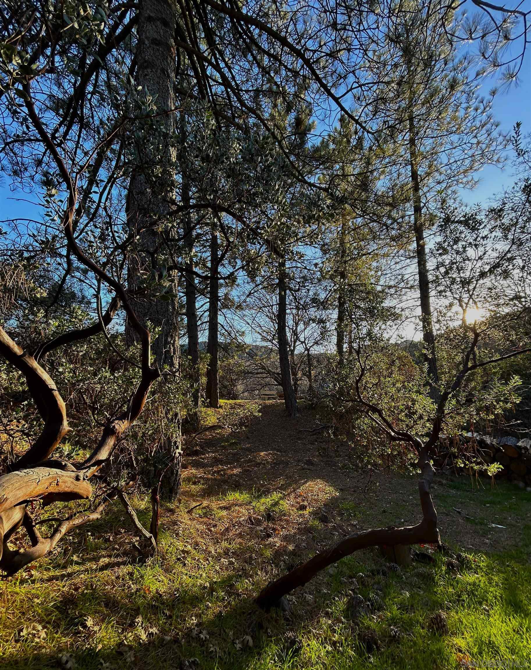 Detail Gallery Image 17 of 19 For 721  Pine Cone Drive, Julian,  CA 92036 - 2 Beds | 2 Baths