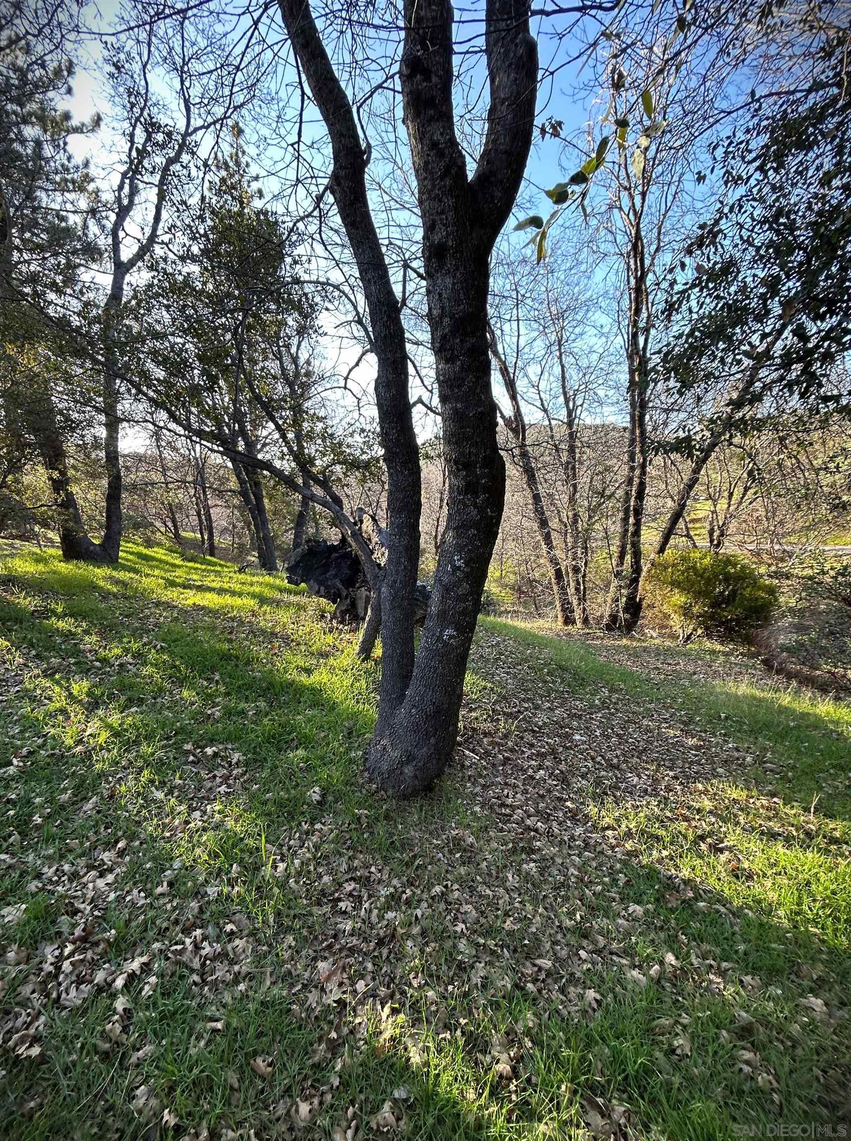 Detail Gallery Image 18 of 23 For 721  Pine Cone Drive, Julian,  CA 92036 - 2 Beds | 2 Baths