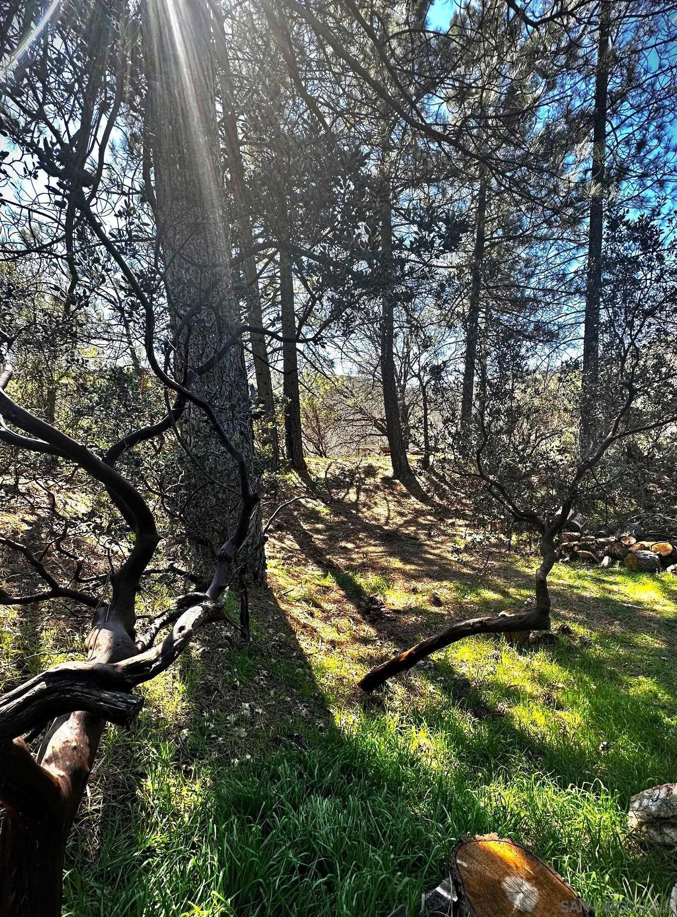 Detail Gallery Image 3 of 23 For 721  Pine Cone Drive, Julian,  CA 92036 - 2 Beds | 2 Baths