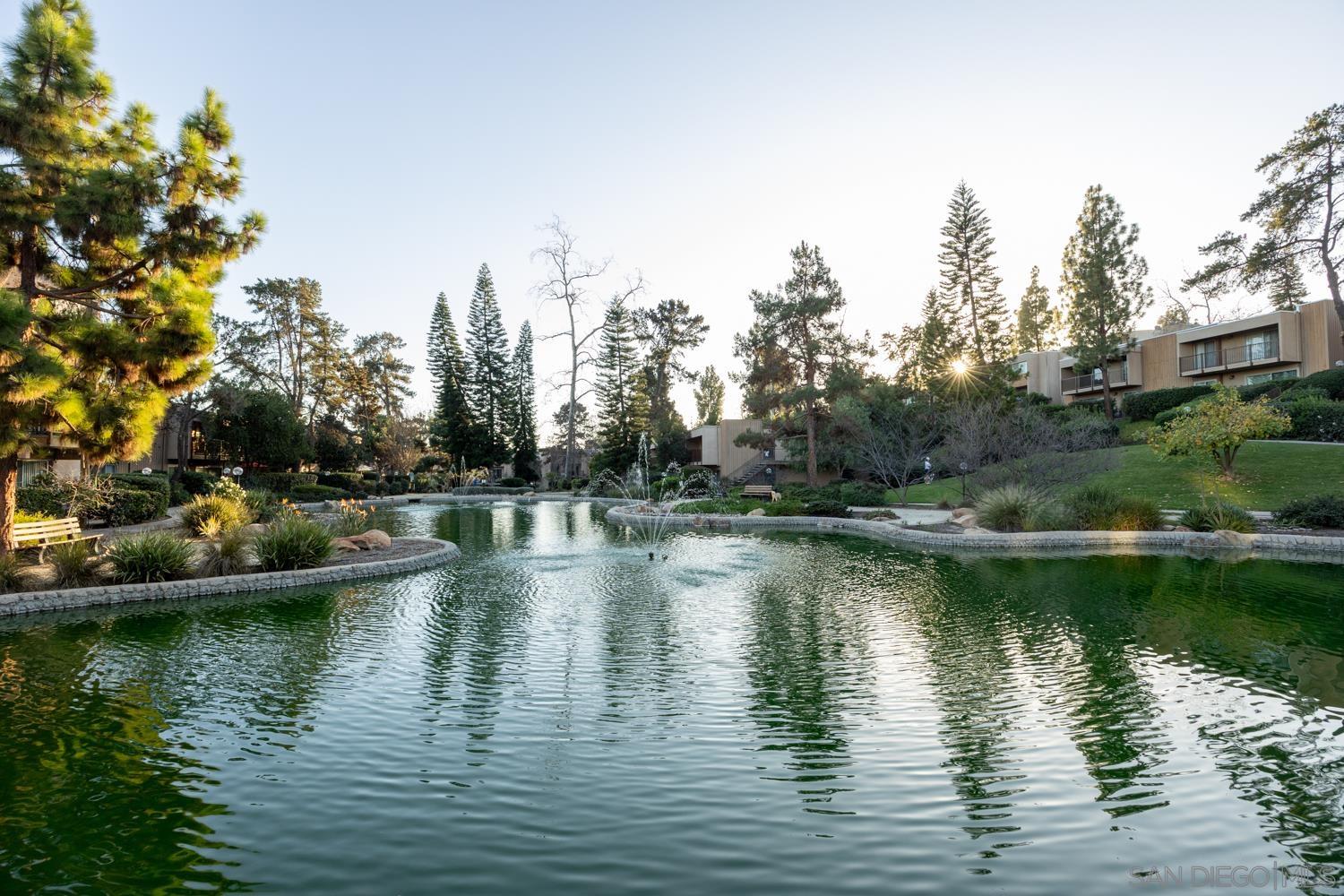 Detail Gallery Image 46 of 56 For 5704  Baltimore Drive  #304,  La Mesa,  CA 91942 - 0 Beds | 1 Baths