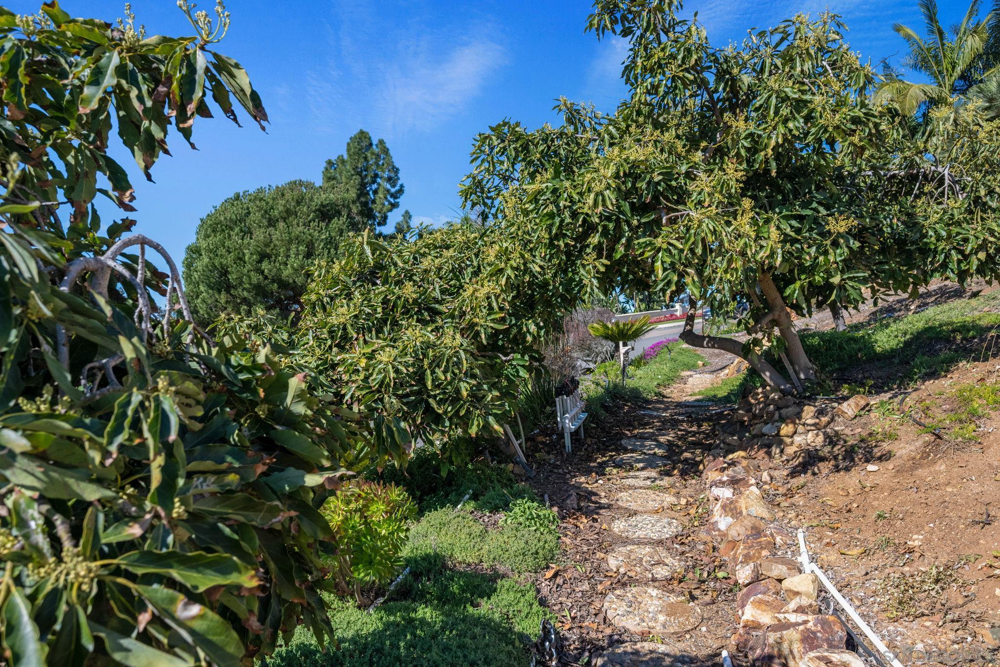 Detail Gallery Image 25 of 62 For 7340  Bolero St, Carlsbad,  CA 92009 - 4 Beds | 3 Baths