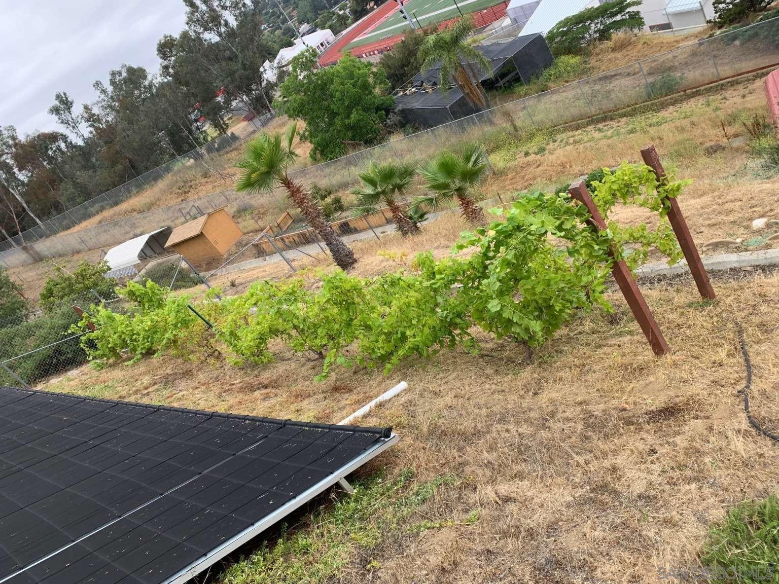 Detail Gallery Image 34 of 40 For 2327  Clearcrest Ln, Fallbrook,  CA 92028 - 5 Beds | 3/1 Baths