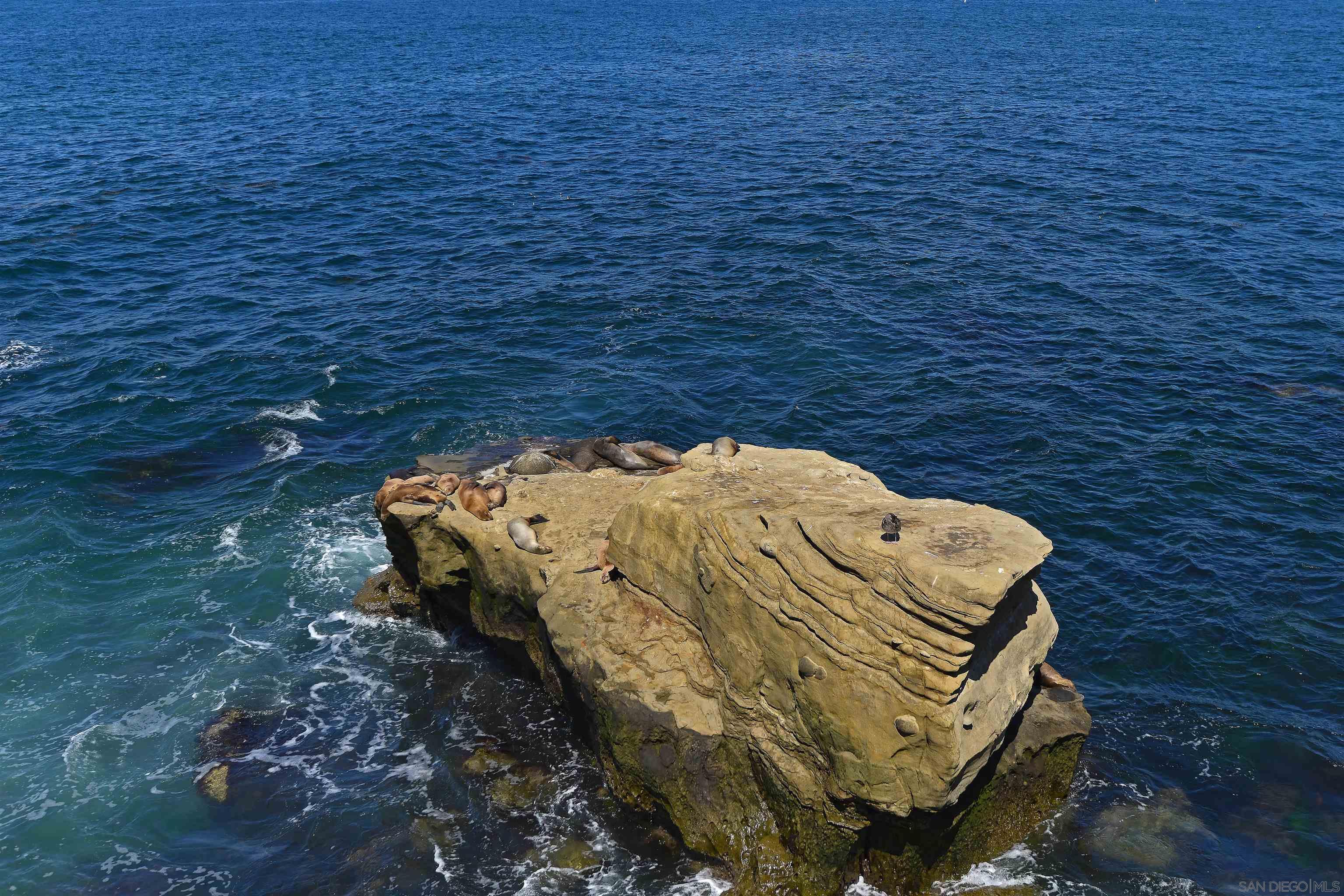 Detail Gallery Image 29 of 29 For 7757  Eads  B4, La Jolla,  CA 92037 - 2 Beds | 2 Baths