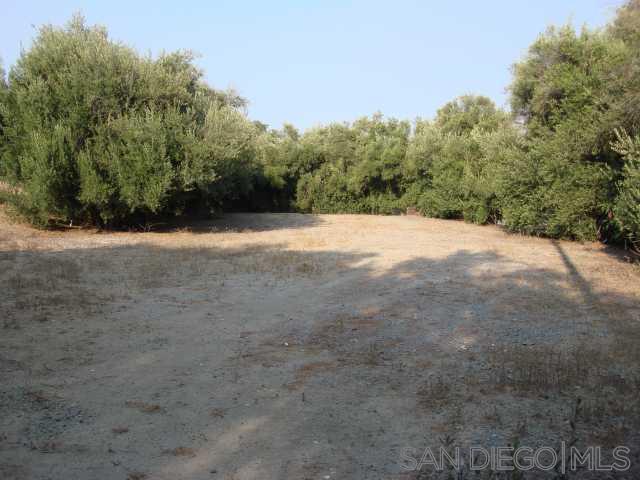 Front Image Thumbnail for SD260002226