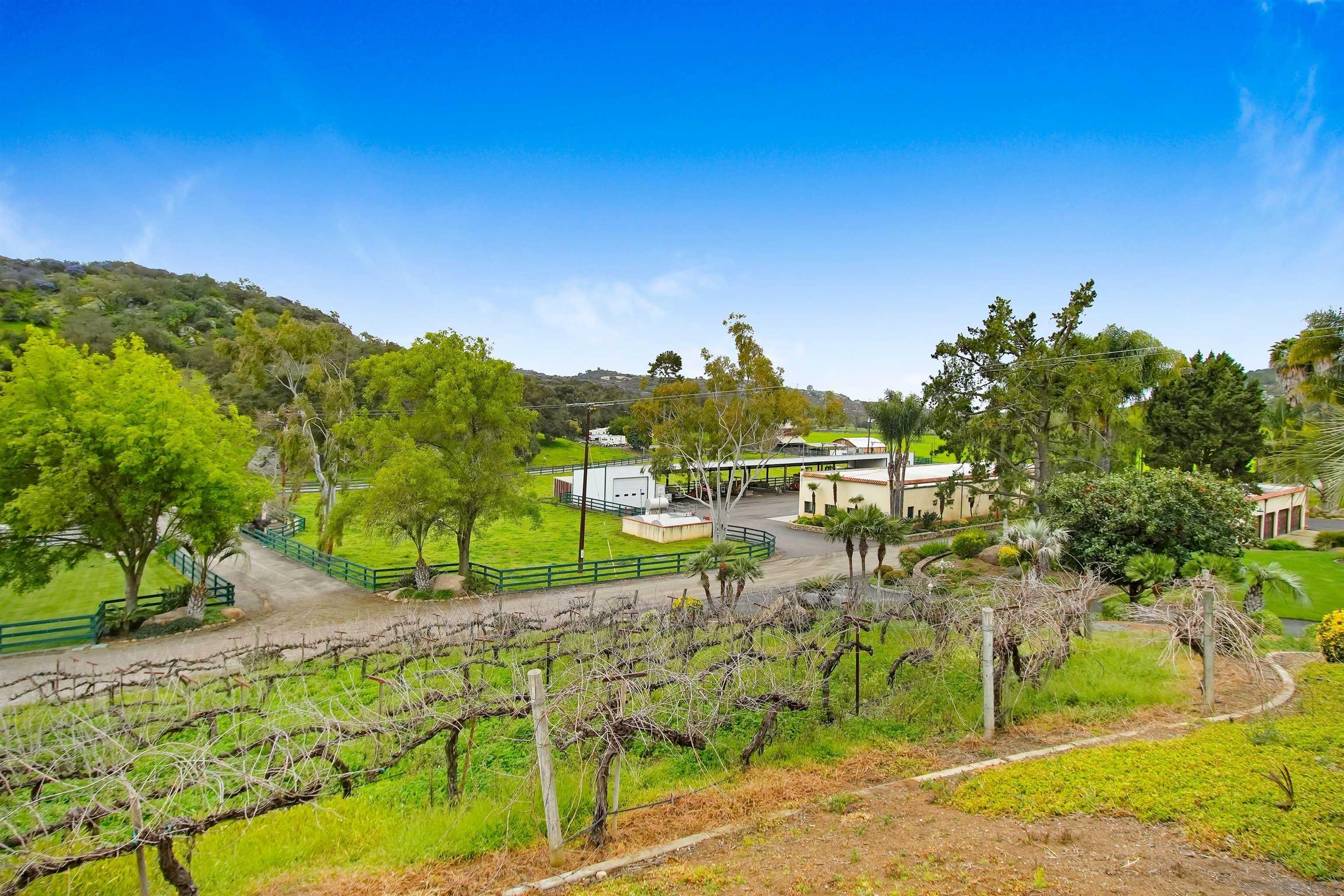 Detail Gallery Image 19 of 49 For 16757  Old Guejito Grade Road, Escondido,  CA 92027 - 15 Beds | 12/1 Baths